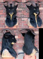 Larp Style Goat