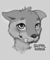 Commissioned Sketch Cub