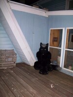 In The Corner 1