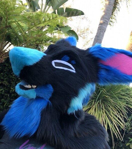 Pre-made fursuit head hotsell