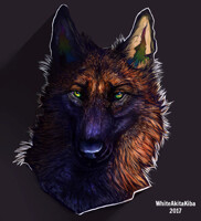 Feral Ritter