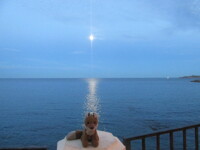 The Moon ^^