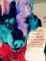 Fursuit for sale