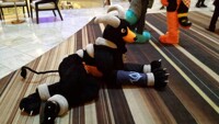 Houndoom!