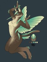 Egg 44: Humming Caracal Gryphon