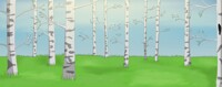 Forest Outskirts