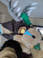 Hiya!