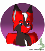 Gift Art #2 for KuroOokamiTsume