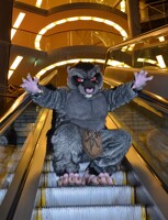Escalator Rat