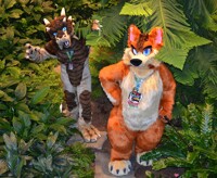 Drachetto & Joey in the Jungle