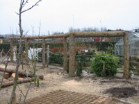 freask cuted wood 
