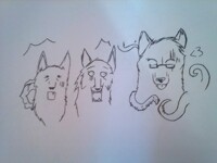 Night of the Werewolves - Powerwolf by arachlyne -- Fur Affinity [dot] net