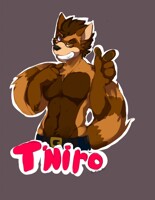 badge for t'niro