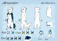 [Ferret] Aewenor Ferret Refsheet by MidnightArtCat