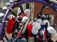 Local Fairground - Ermahgerd~!