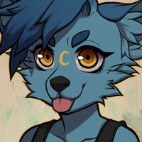 DS Icon