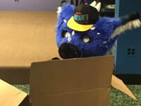 Blue's box