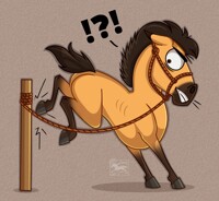 Fighting for a freedom