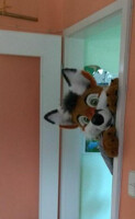 He arrived!