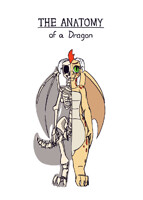 Anatomy of a Dragon