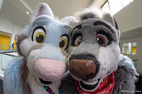 FurDU 2018: Freon and Arti