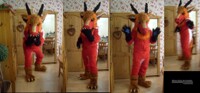 Dragon For Sale...