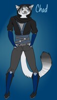 Chad the Rogue
