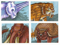 Sketch Cards for Phantasm - Prehistoric Mammals