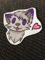 My first badge attempt