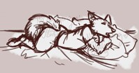 CLOSED YCH