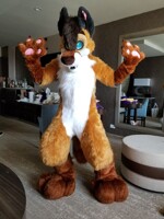 Feroxdoon's Foxy Friday