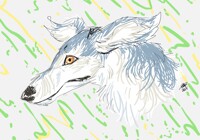 Borzoi