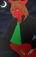 The wolf of the night