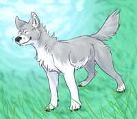 a sunny day, a happy place