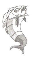 Zim phin