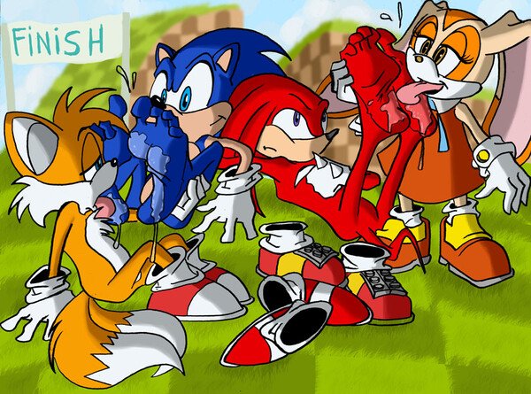 Sonic vs Knuckles... who did win the match?. 