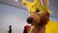 Another Selfie (AC 17)