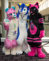 FurDU 2018: Milkshake, Kydos and Kaylee