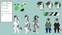Nico Ref Sheet SFW