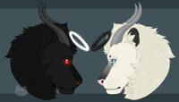 gift for wolf.sisi