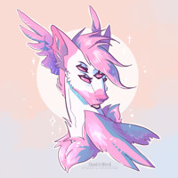Gift Art: Meridiem