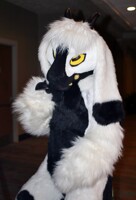 AnthrOhio 2018 - Pooka