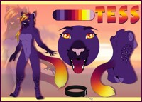 Commission: Tess Ref Sheet