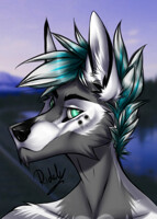 Comission "Head"