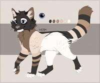 CAT-ADOPT \C|ОSED\