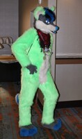 AnthrOhio 2018 - Kiwi