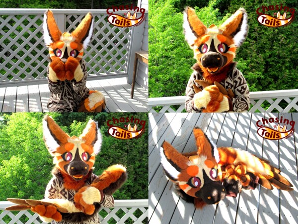 Dutch angel best sale dragon plush