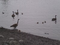 Memorial Day Vacation