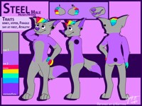 (COM)- Steel Refsheet