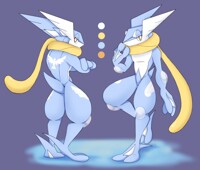 Sonas Flying/Air Greninja